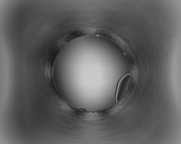 X0000114430525200910161337
