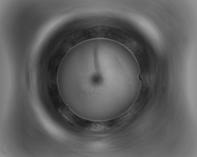 X0000114430526200910161337