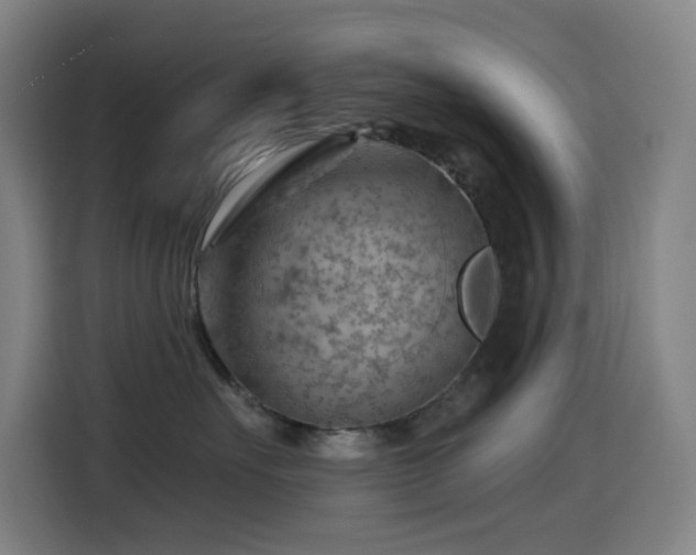 X0000114430527200910161337