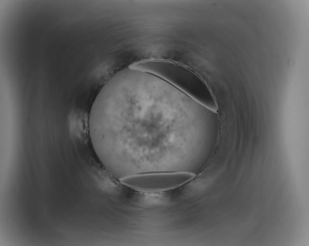 X0000114430528200910161337
