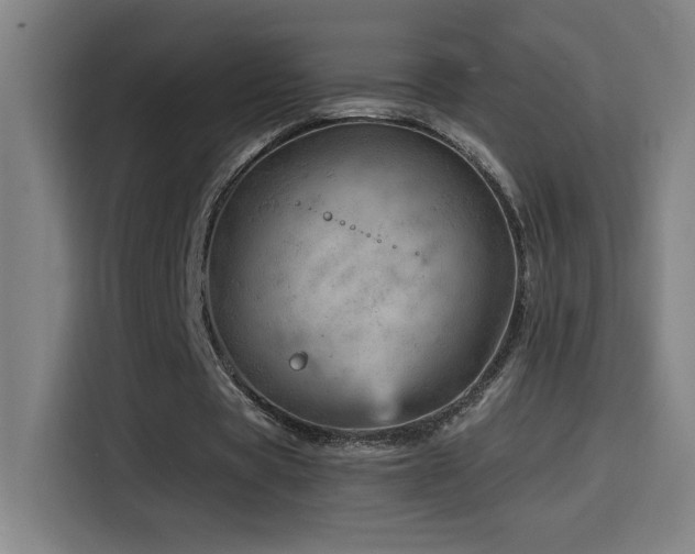 X0000114430529200910161337