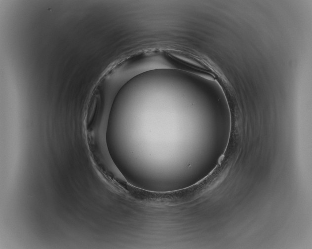 X0000114430530200910161337
