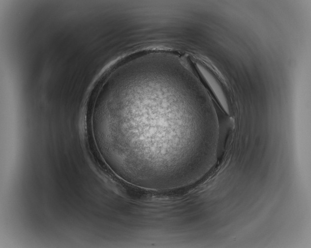 X0000114430531200910161337