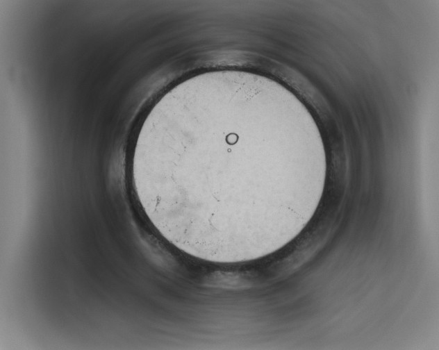 X0000114430534200910161337