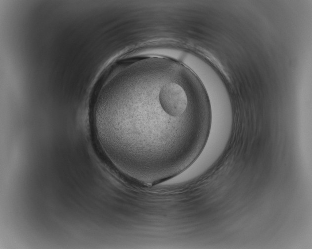 X0000114430535200910161337