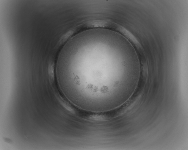 X0000114430537200910161337