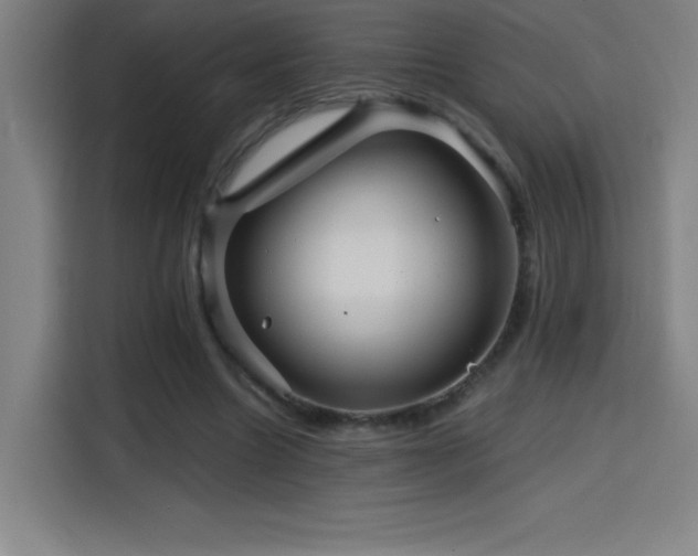 X0000114430538200910161337