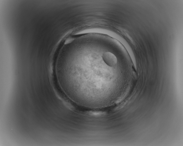 X0000114430539200910161337
