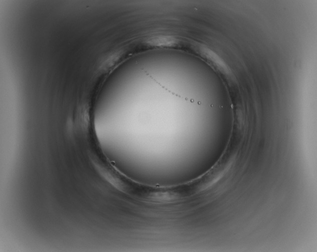 X0000114430541200910161337