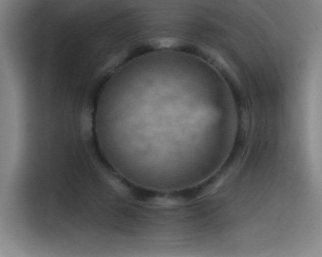 X0000114430545200910161337