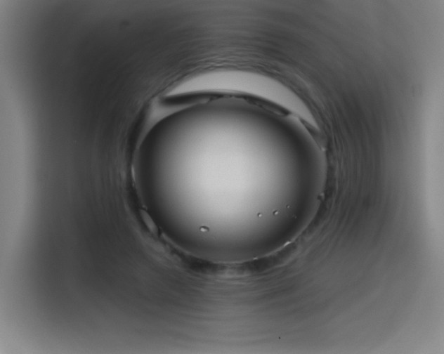 X0000114430546200910161337