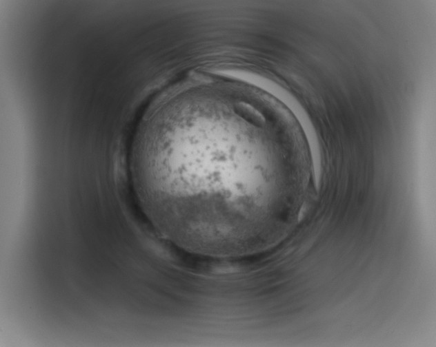 X0000114430547200910161337