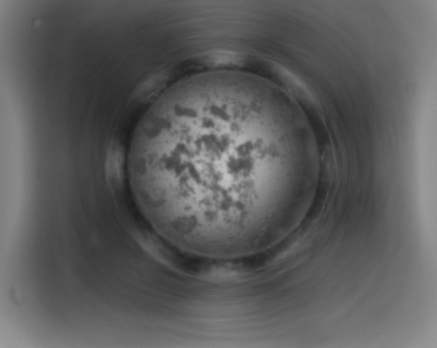 X0000114430550200910161337