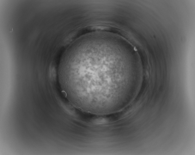 X0000114430551200910161337