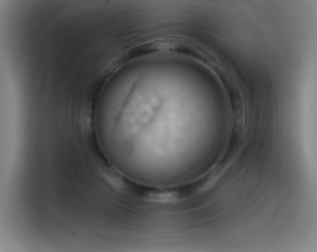 X0000114430553200910161337