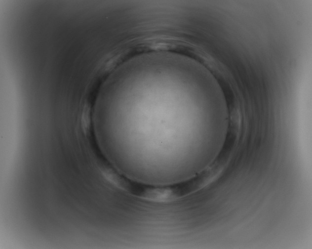 X0000114430554200910161337