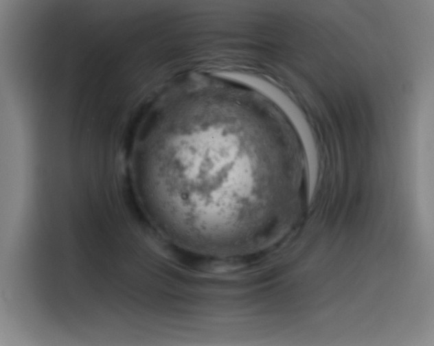 X0000114430555200910161337