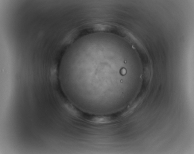 X0000114430557200910161337