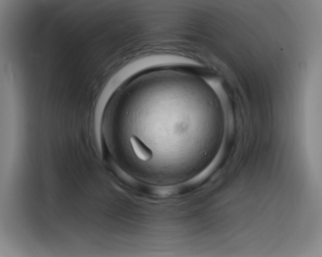 X0000114430558200910161337