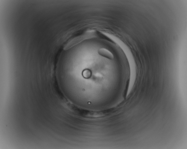 X0000114430559200910161337