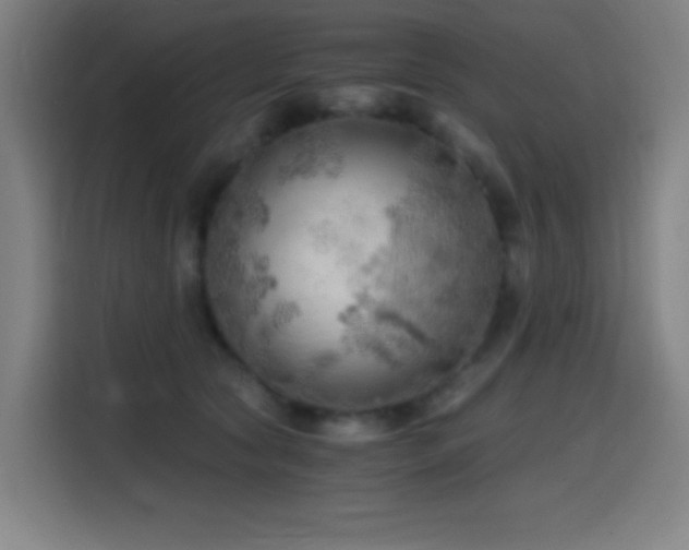 X0000114430561200910161337