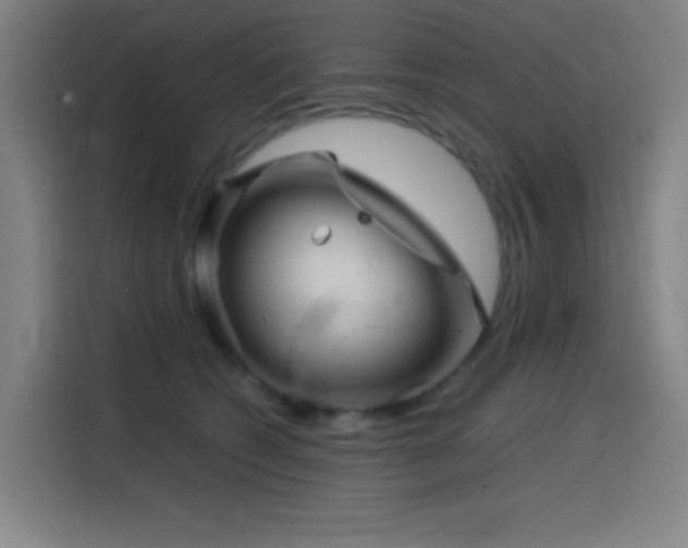 X0000114430562200910161337