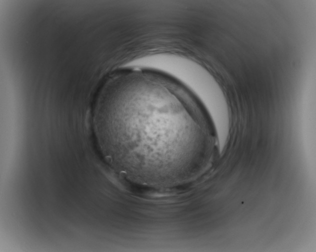 X0000114430563200910161337