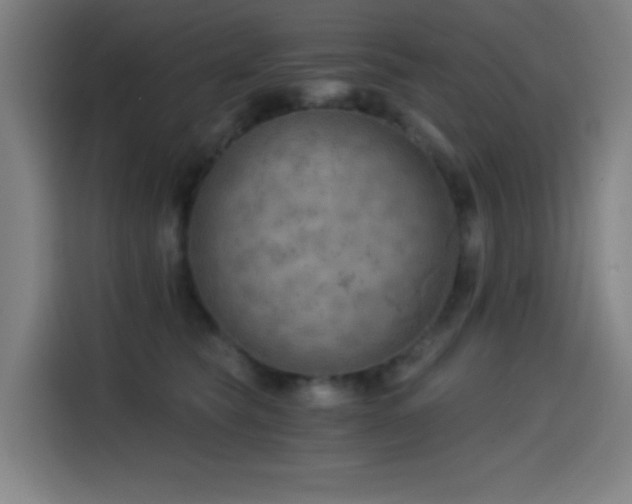 X0000114430565200910161337
