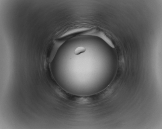 X0000114430566200910161337