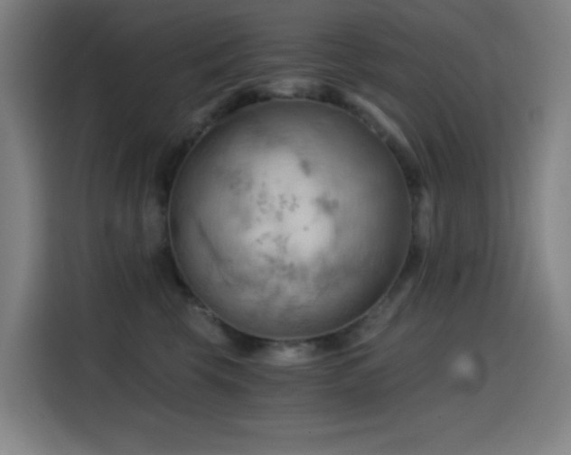 X0000114430569200910161337
