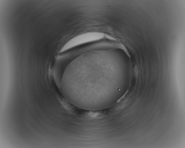 X0000114430570200910161337