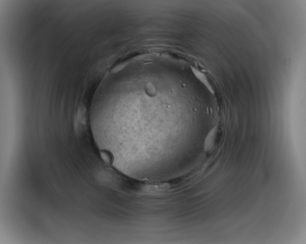 X0000114430571200910161337
