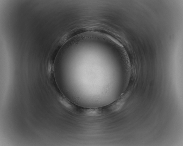 X0000114430574200910161337