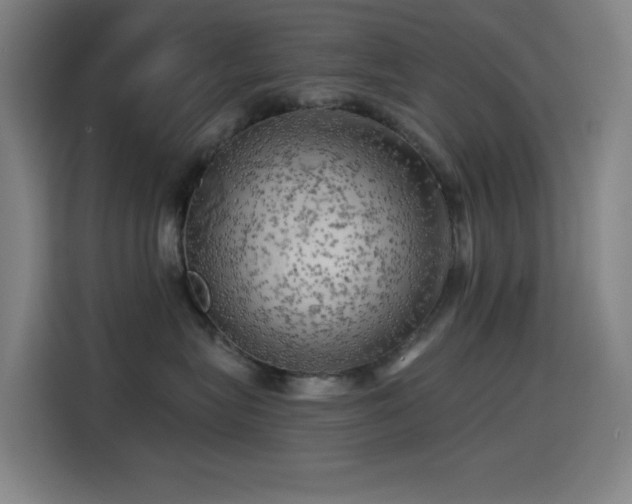X0000114430575200910161337