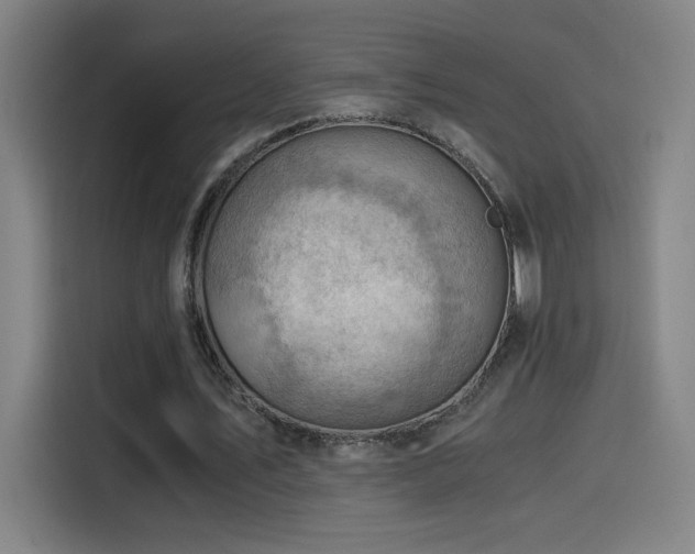 X0000114430579200910161337
