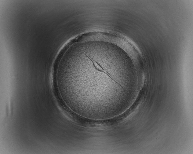 X0000114430580200910161337