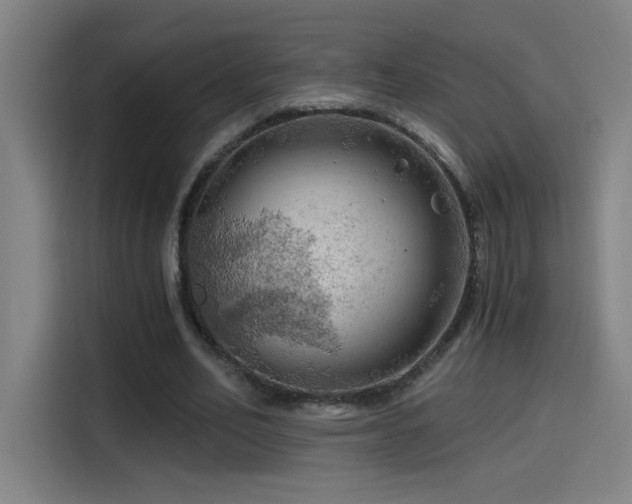X0000114430582200910161337