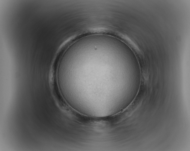 X0000114430583200910161337