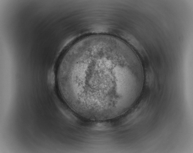 X0000114430584200910161337