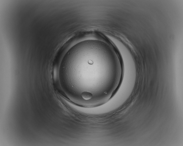 X0000114430585200910161337