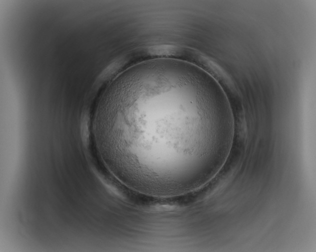 X0000114430586200910161337