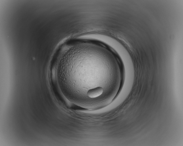 X0000114430587200910161337