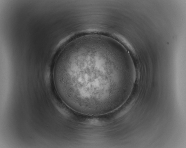 X0000114430588200910161337