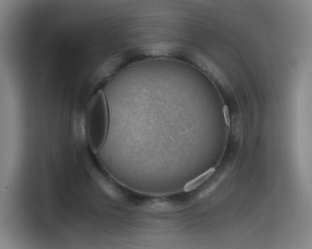 X0000114430589200910161337