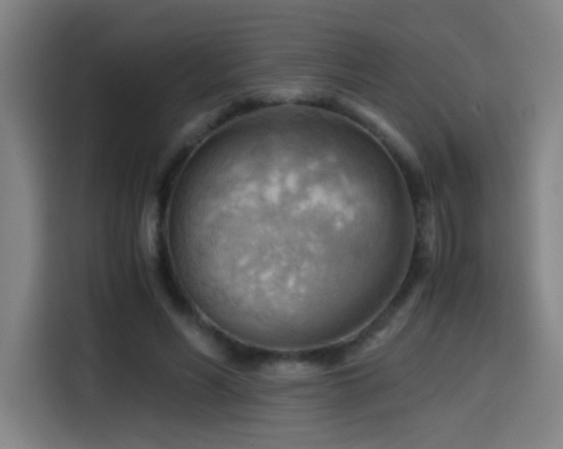 X0000114430590200910161337