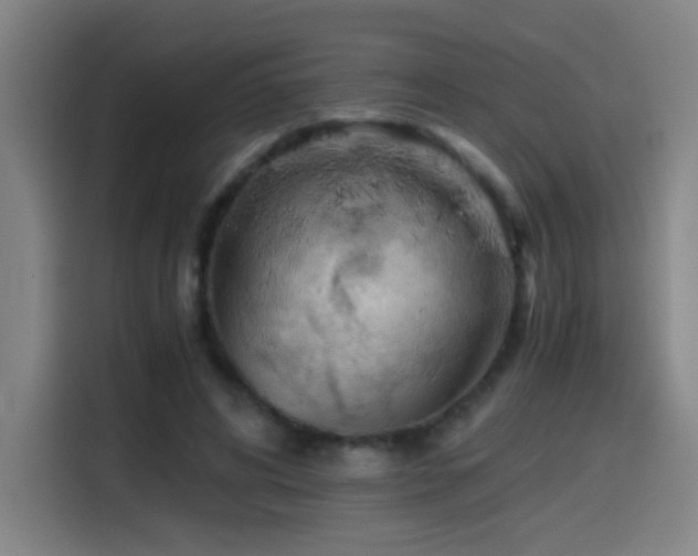 X0000114430592200910161337