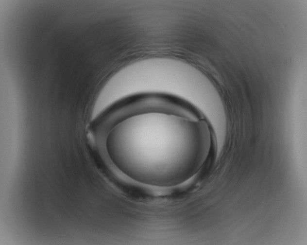 X0000114430593200910161337