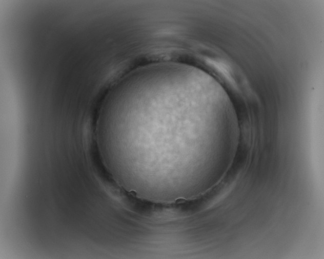 X0000114430594200910161337