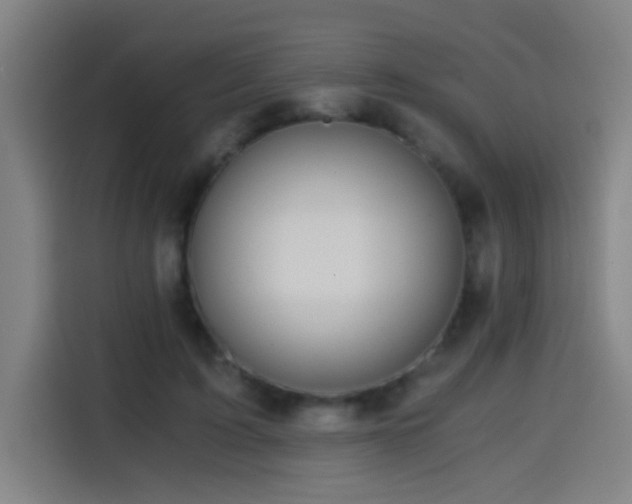 X0000114430595200910161337