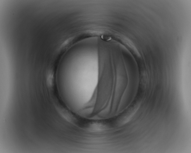 X0000114430596200910161337